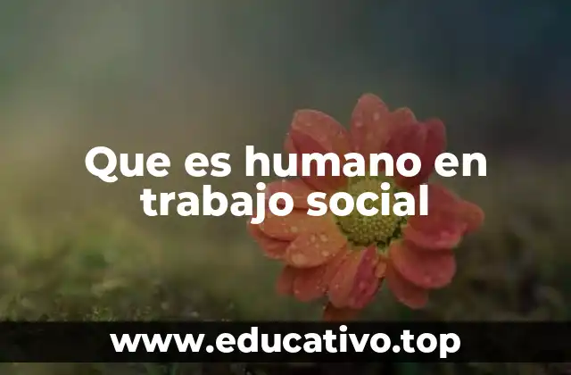 Que es humano en trabajo social
