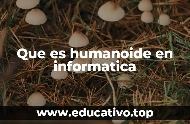 Que es humanoide en informatica