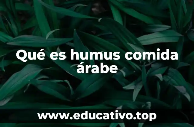 Qué es humus comida árabe