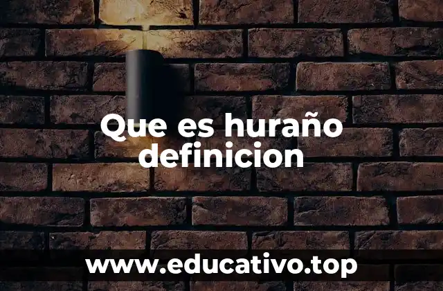 Que es huraño definicion