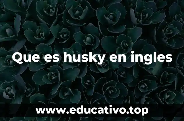 Que es husky en ingles
