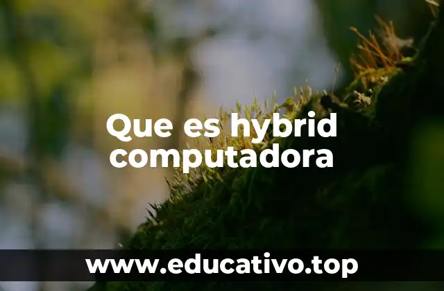 Que es hybrid computadora