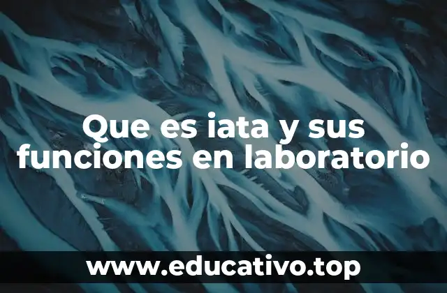 Que es iata y sus funciones en laboratorio