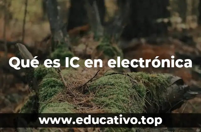 Qué es IC en electrónica