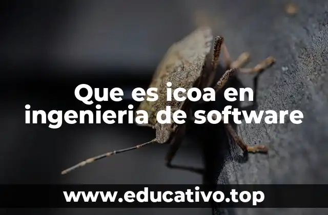 Que es icoa en ingenieria de software