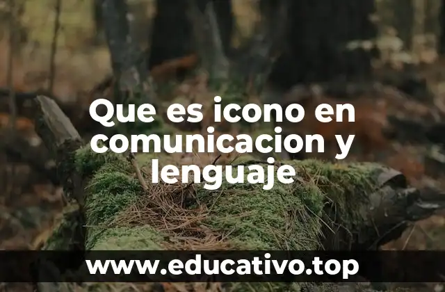 Que es icono en comunicacion y lenguaje