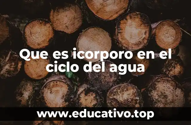 Que es icorporo en el ciclo del agua