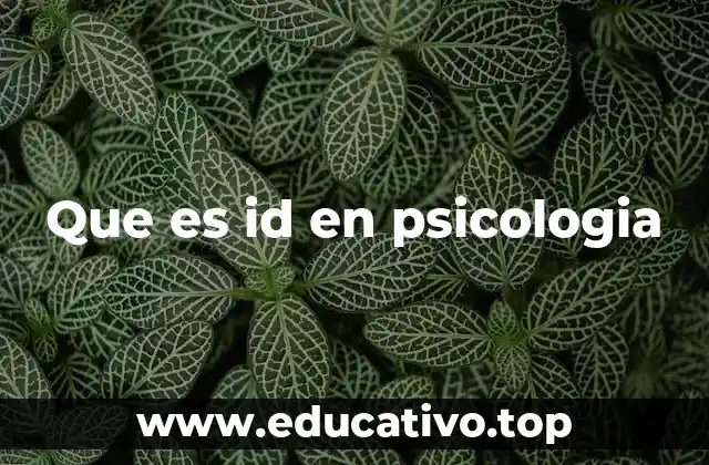 Que es id en psicologia