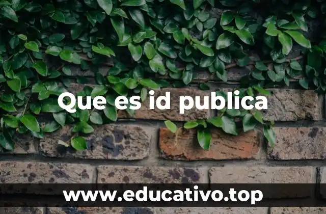 Que es id publica