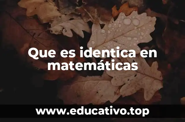 El concepto de identidad en diferentes ramas de las matemáticas