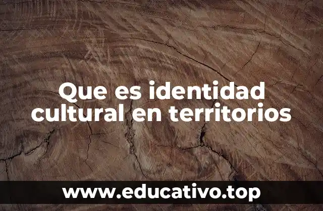 Que es identidad cultural en territorios