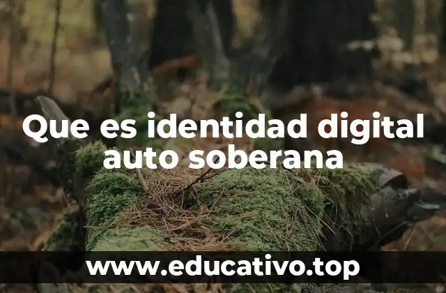 Que es identidad digital auto soberana