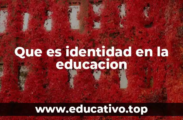 Que es identidad en la educacion