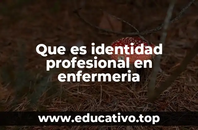 Que es identidad profesional en enfermeria