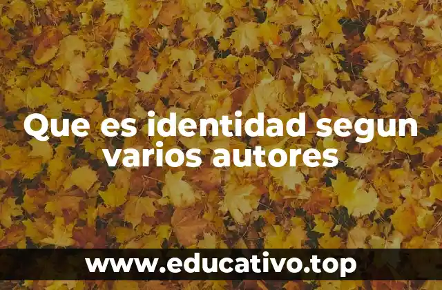 Que es identidad segun varios autores