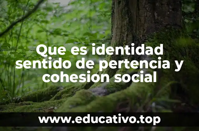 Que es identidad sentido de pertencia y cohesion social