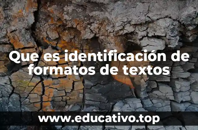 Que es identificación de formatos de textos