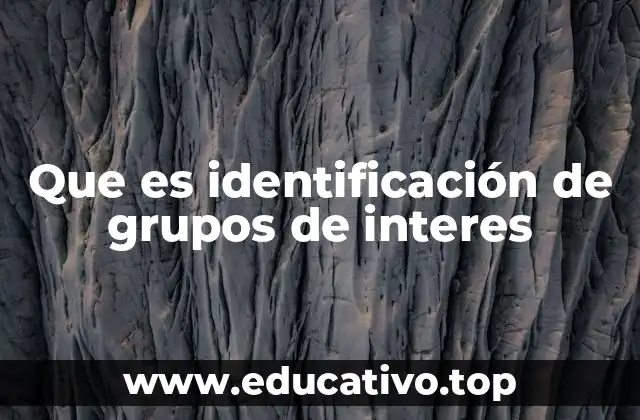 Que es identificación de grupos de interes