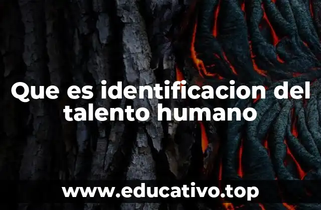 Que es identificacion del talento humano