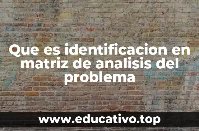 Que es identificacion en matriz de analisis del problema