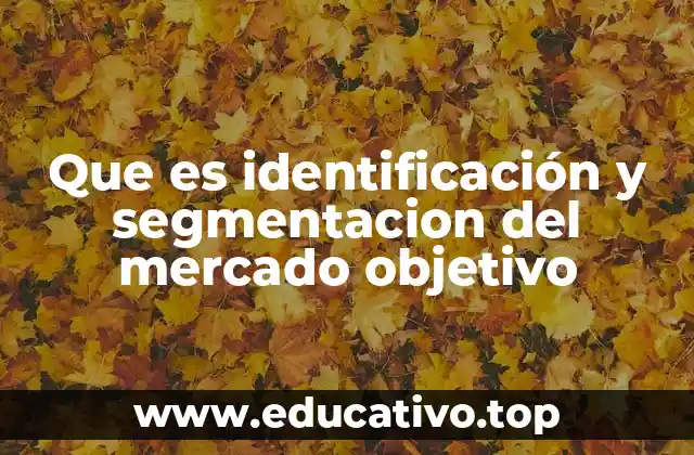 Que es identificación y segmentacion del mercado objetivo
