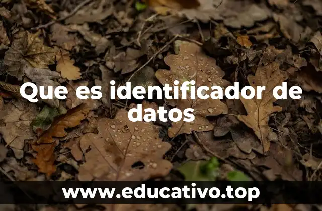 Que es identificador de datos