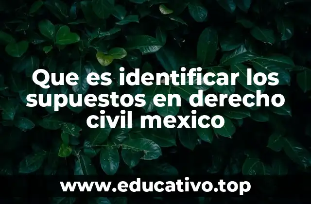Que es identificar los supuestos en derecho civil mexico