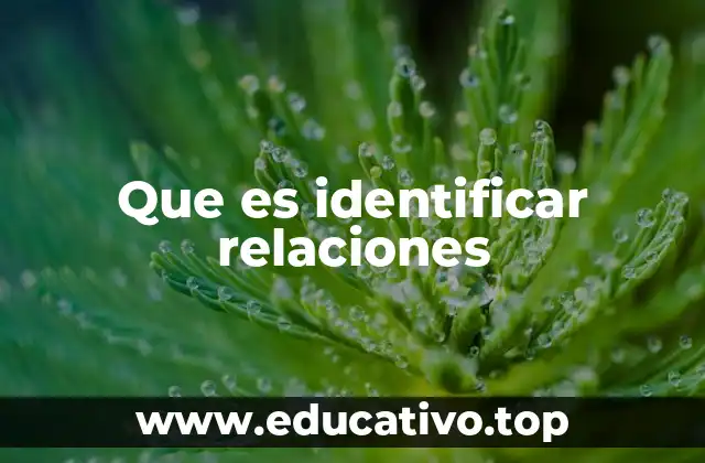 Que es identificar relaciones