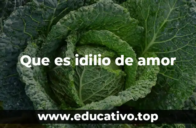 Que es idilio de amor