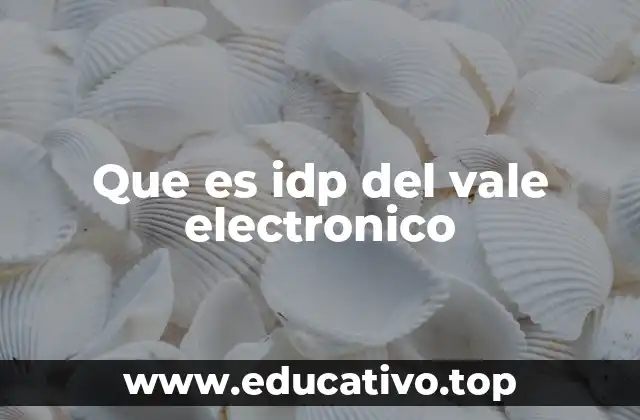 Que es idp del vale electronico