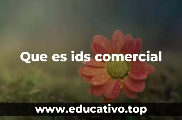 Que es ids comercial