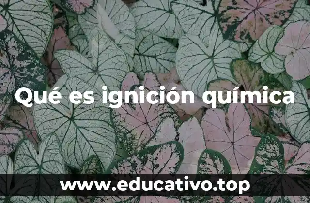 Qué es ignición química