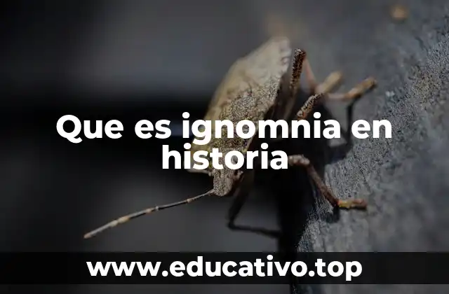 Que es ignomnia en historia