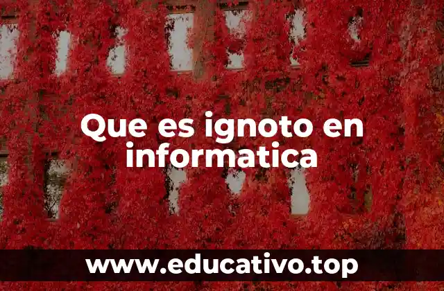 Que es ignoto en informatica