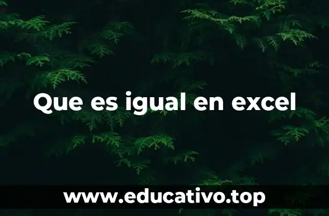Que es igual en excel
