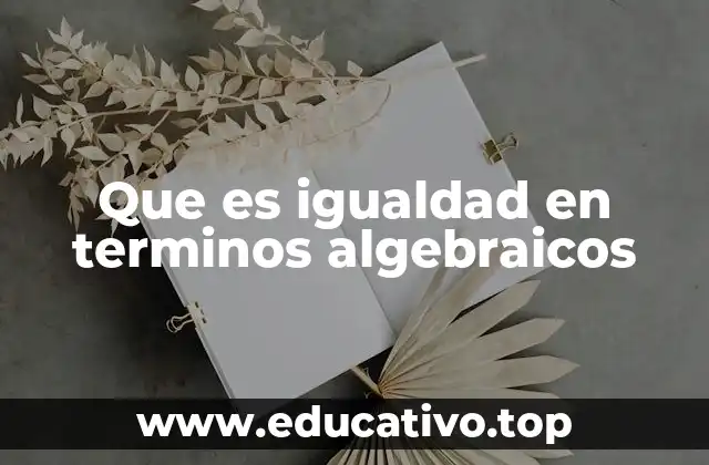 Que es igualdad en terminos algebraicos