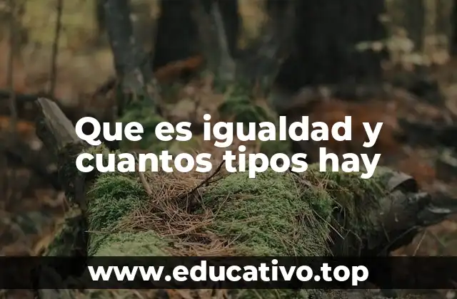 Que es igualdad y cuantos tipos hay