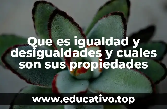 Que es igualdad y desigualdades y cuales son sus propiedades