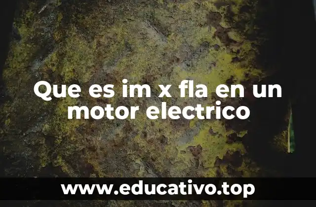 Que es im x fla en un motor electrico