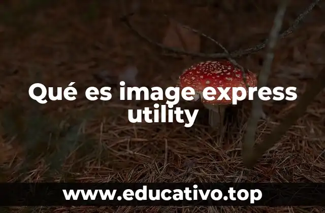Qué es image express utility