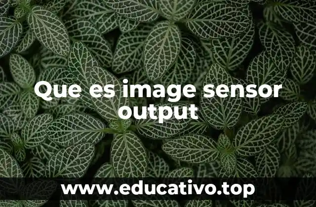 Que es image sensor output