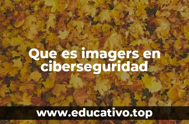 Que es imagers en ciberseguridad