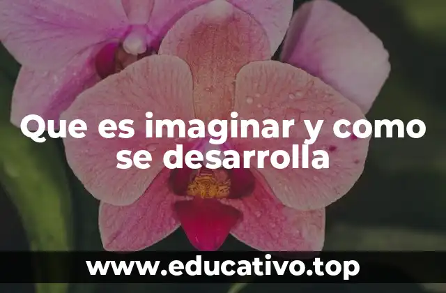 Que es imaginar y como se desarrolla