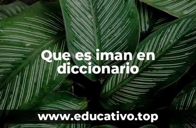 Que es iman en diccionario