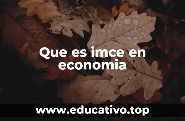 Que es imce en economia