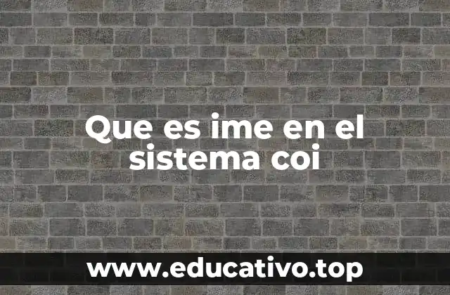 Que es ime en el sistema coi