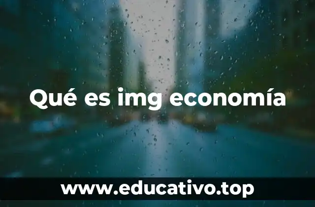 Qué es img economía