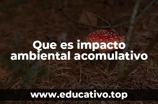 Que es impacto ambiental acomulativo