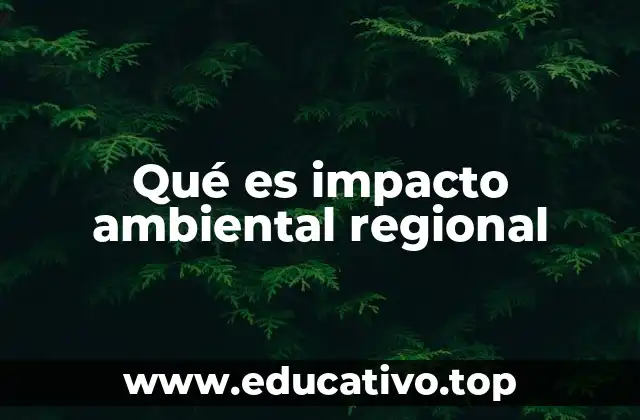 Qué es impacto ambiental regional
