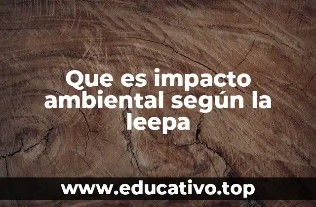 Que es impacto ambiental según la leepa